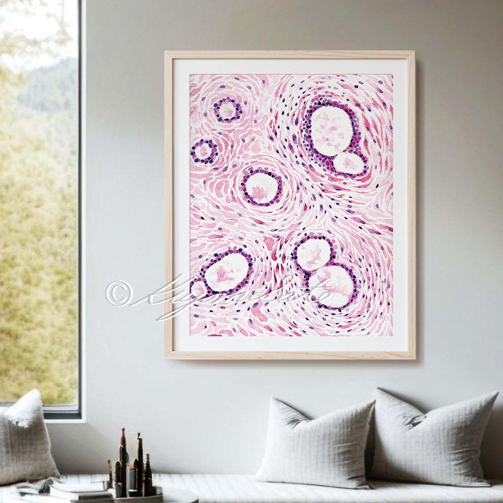 Mammary Gland Histology Abstract Art
