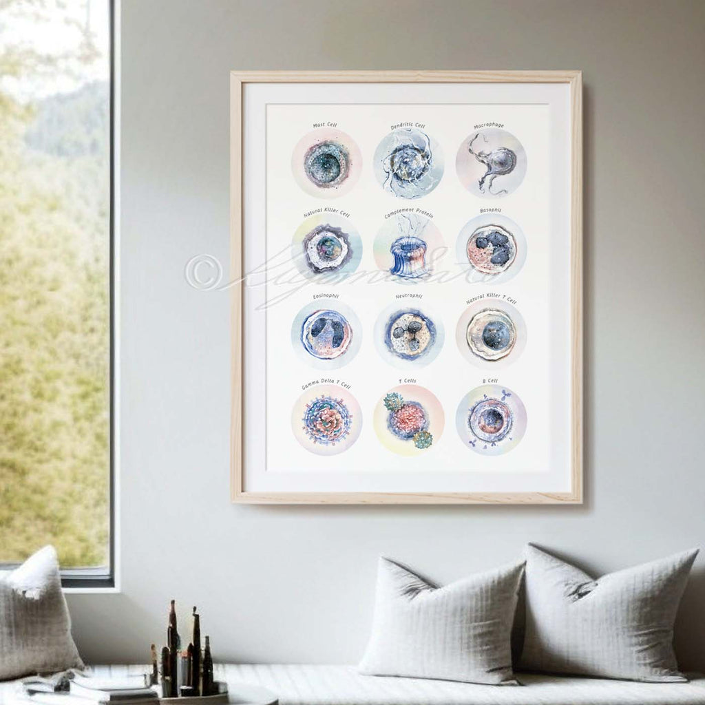 Immune System Collection Art