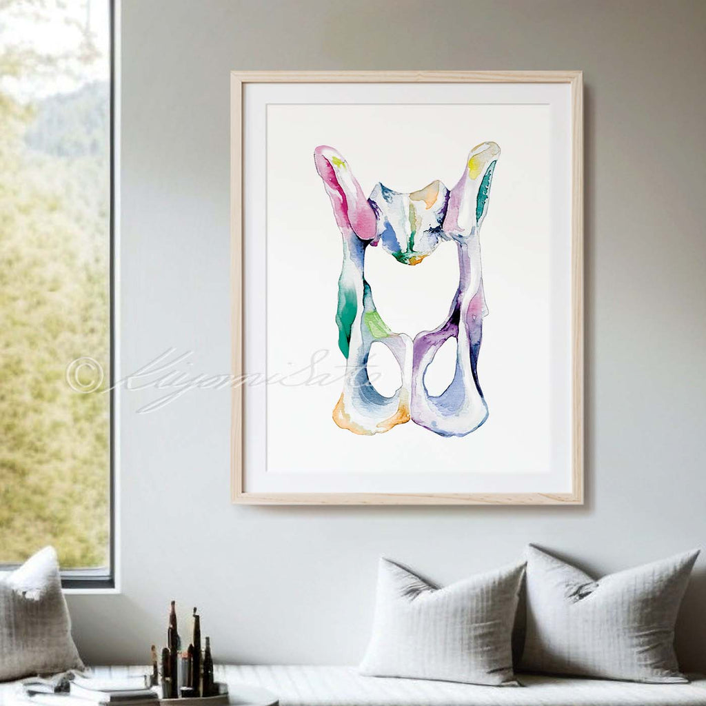 Cat Pelvis Bone Abstract Art