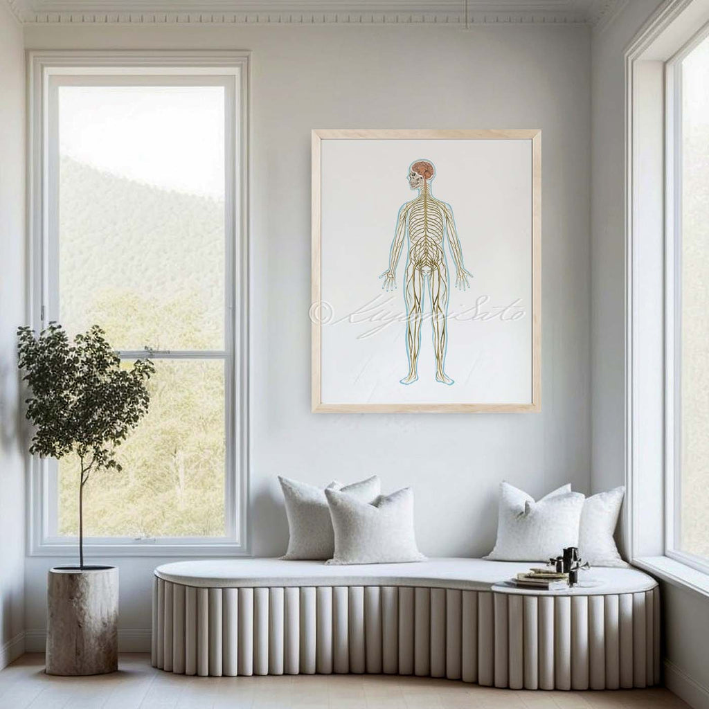 Nervous System Art Poster