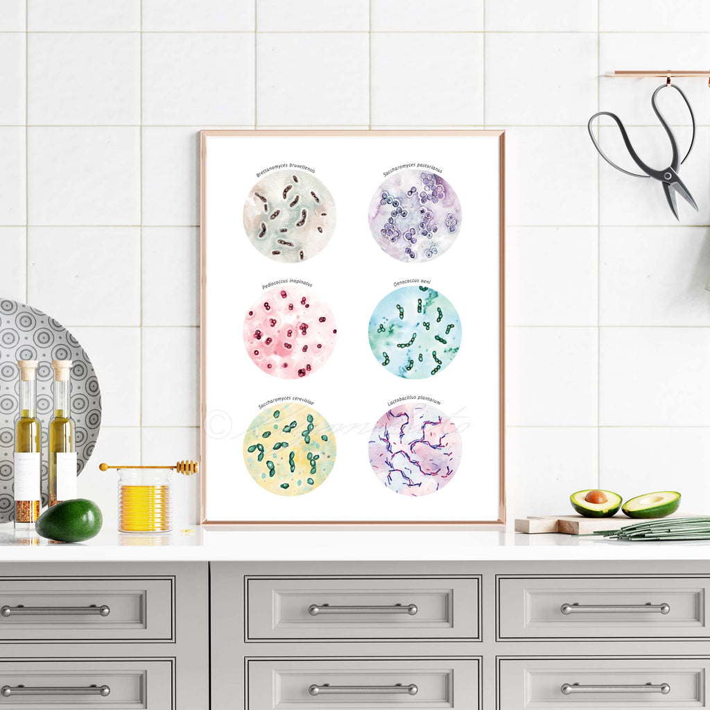 Microbiology Kitchen Art Set of 4