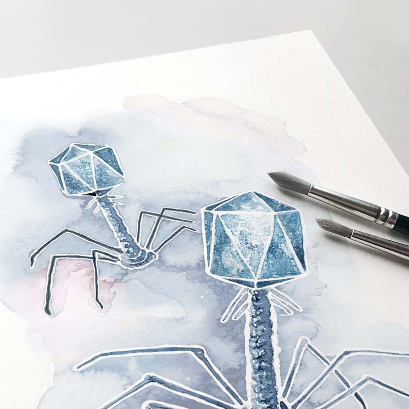Watercolor Bacteriophage