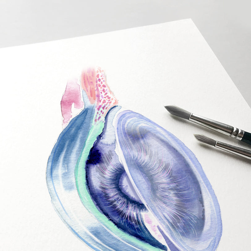Eye Lens