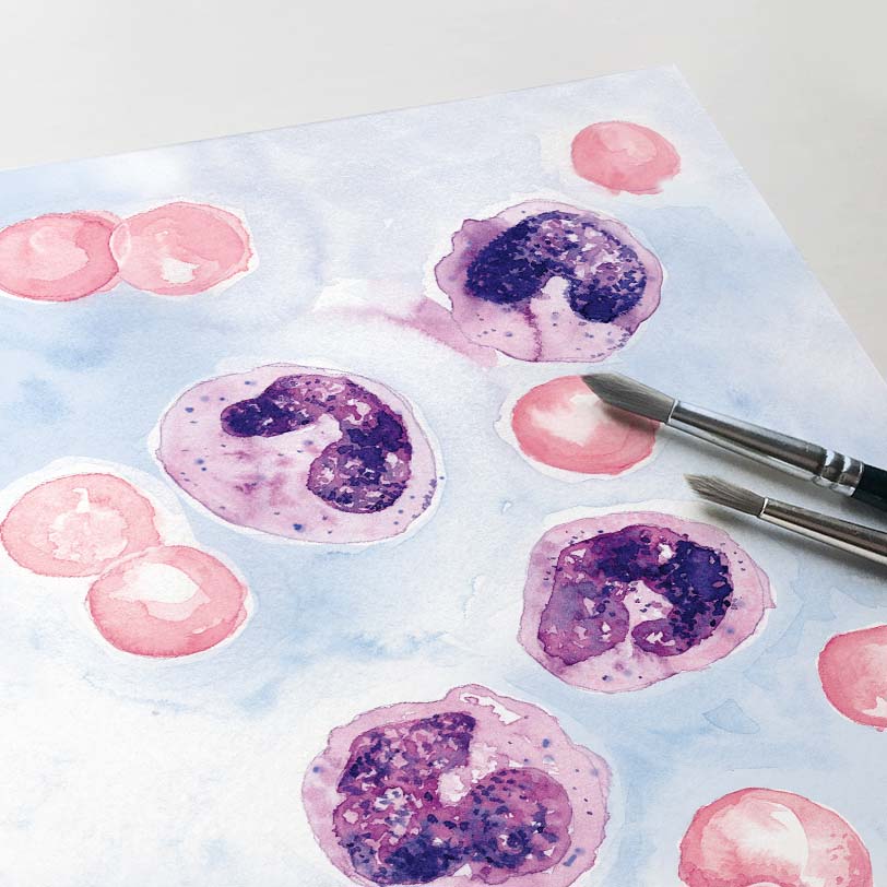 Eosinophils Blood Cell Art