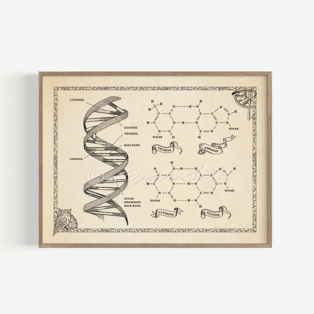 Medieval Style DNA with Chemical structure