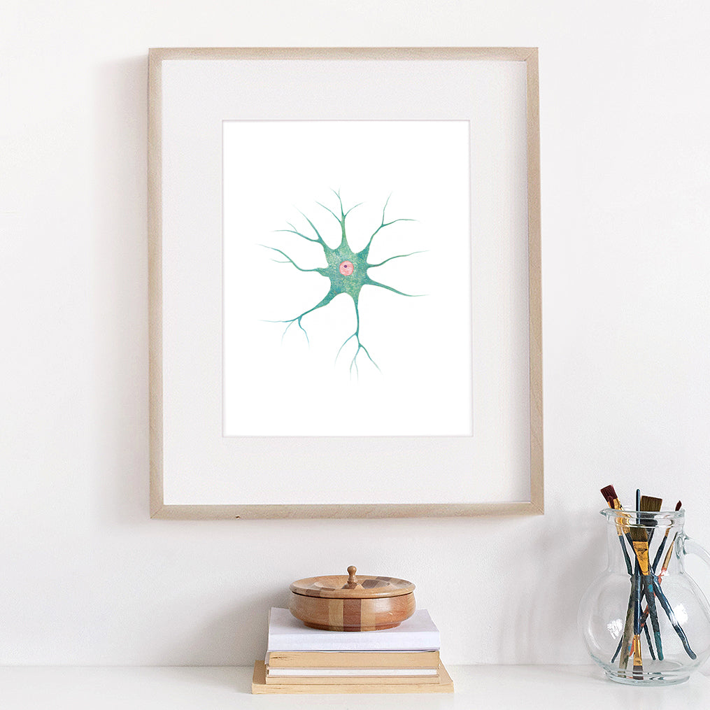 Nerve Cell